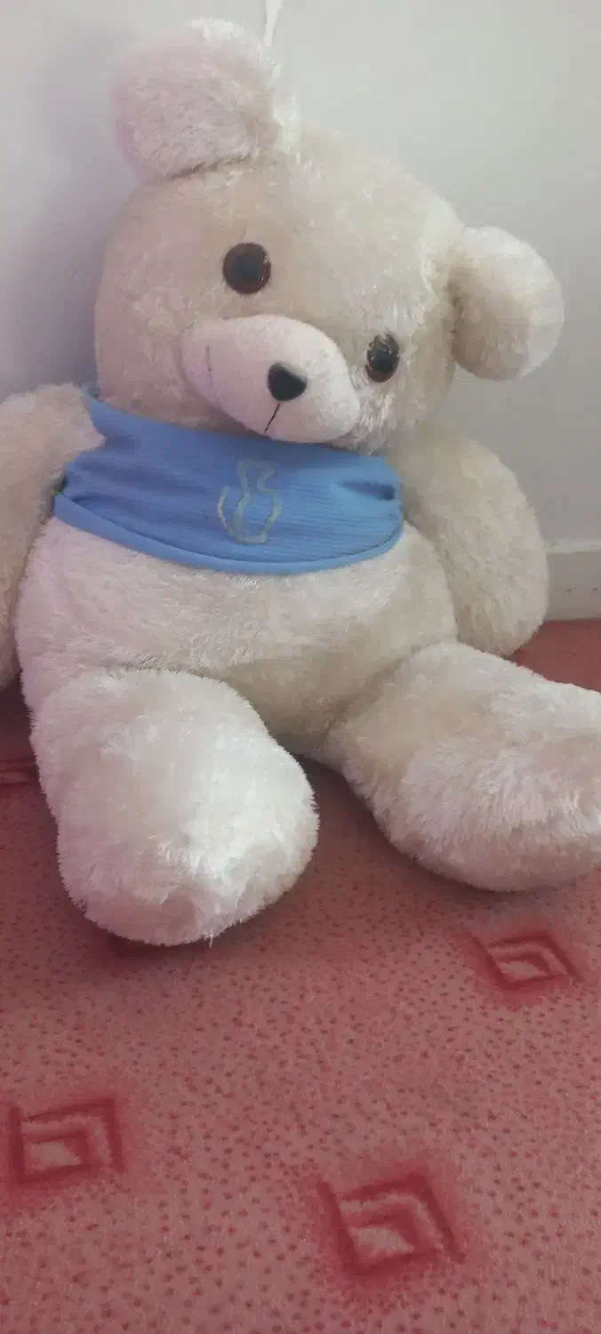 عروسک|اسباببازی|فسا, |دیوار