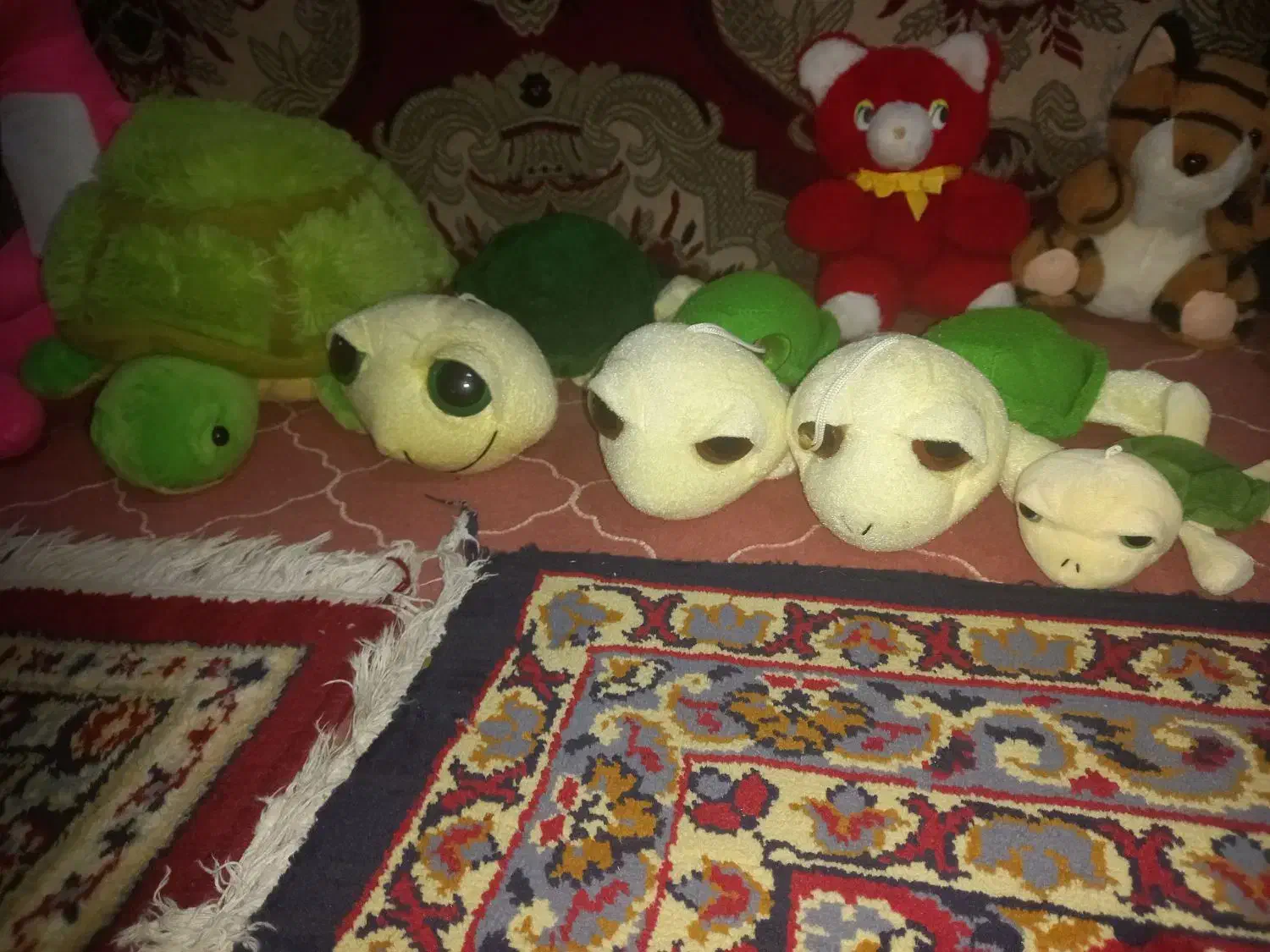 ۴۰ عدد عروسک بزرگ و کوچک همه نونو|اسباببازی بچه|مشکیندشت, |دیوار