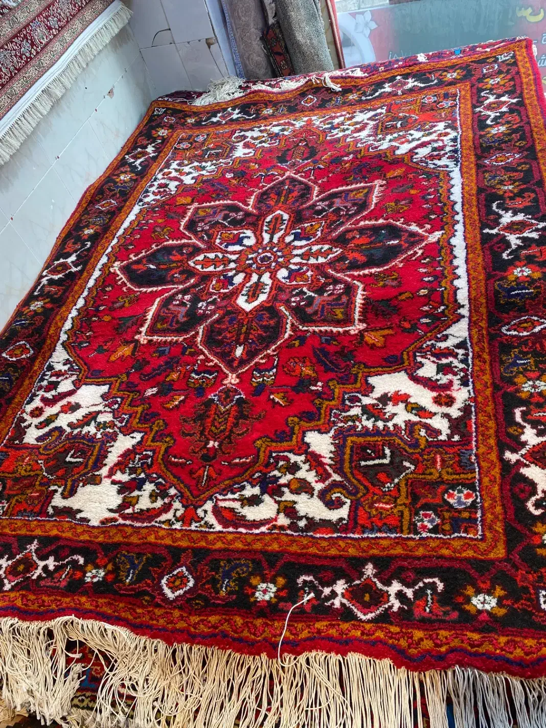 فرش ۶متری لاکی|فرش|تبریز, |دیوار