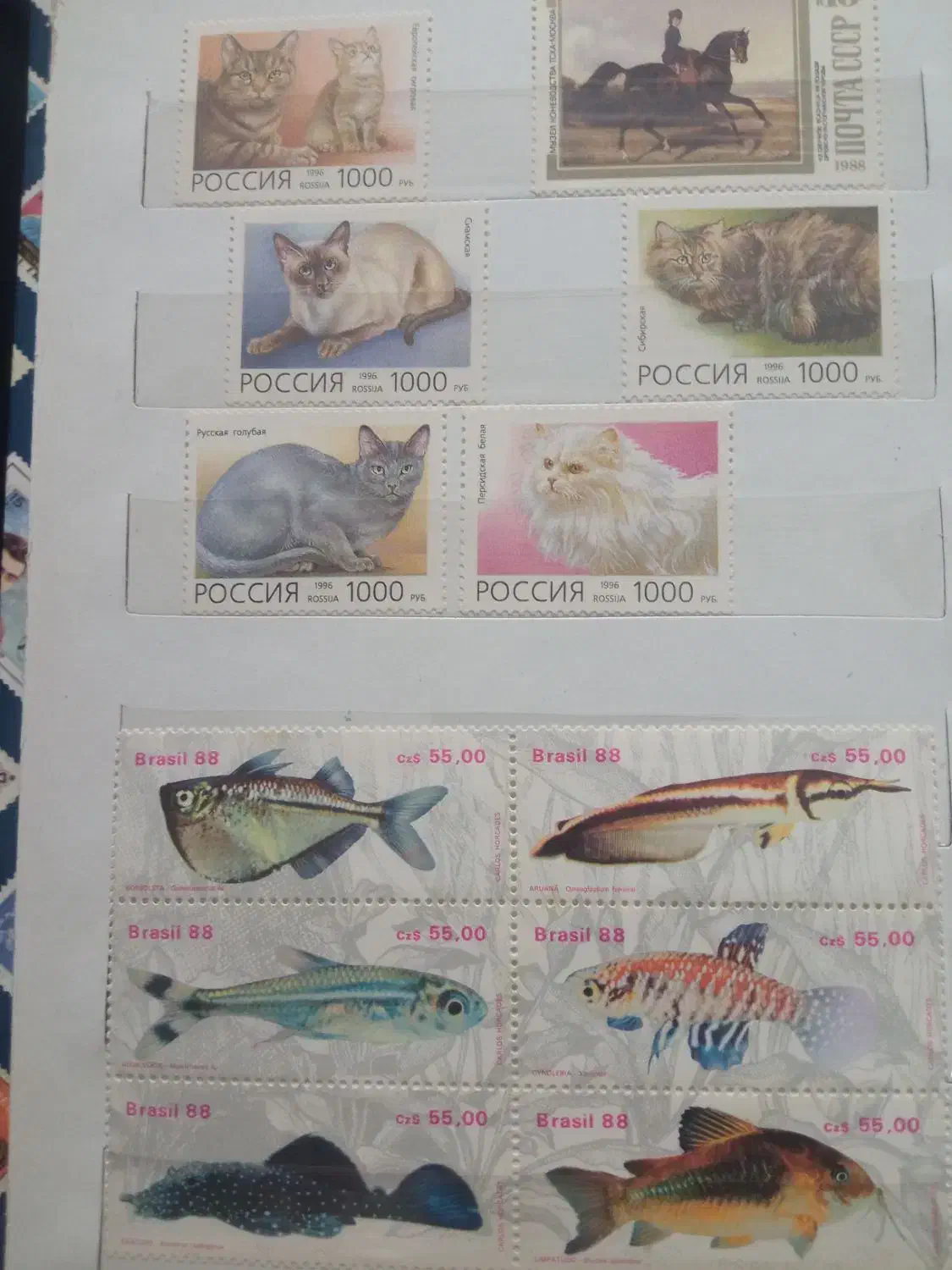 فروش|کلکسیون سکه، تمبر، اسکناس|یزد, |دیوار