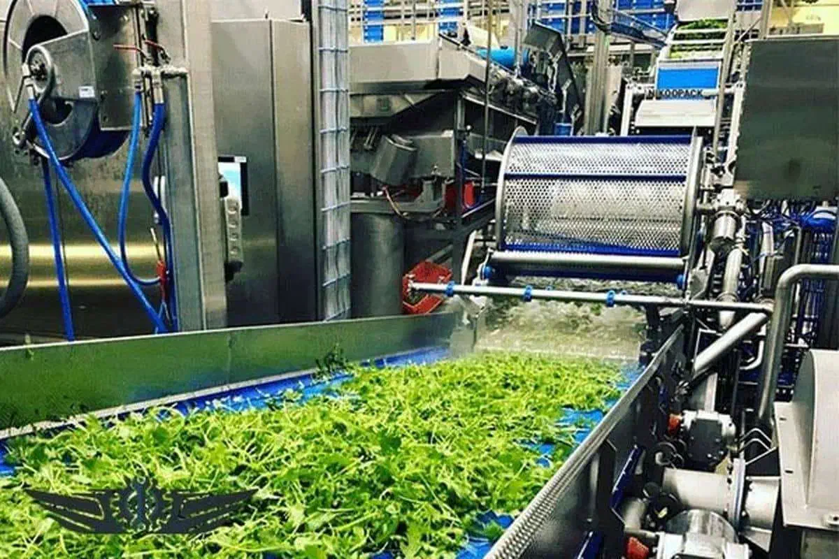 نیروی خانم جهت کار در کارگاه سبزی|استخدام خدمات فروشگاه و رستوران|یزد, |دیوار