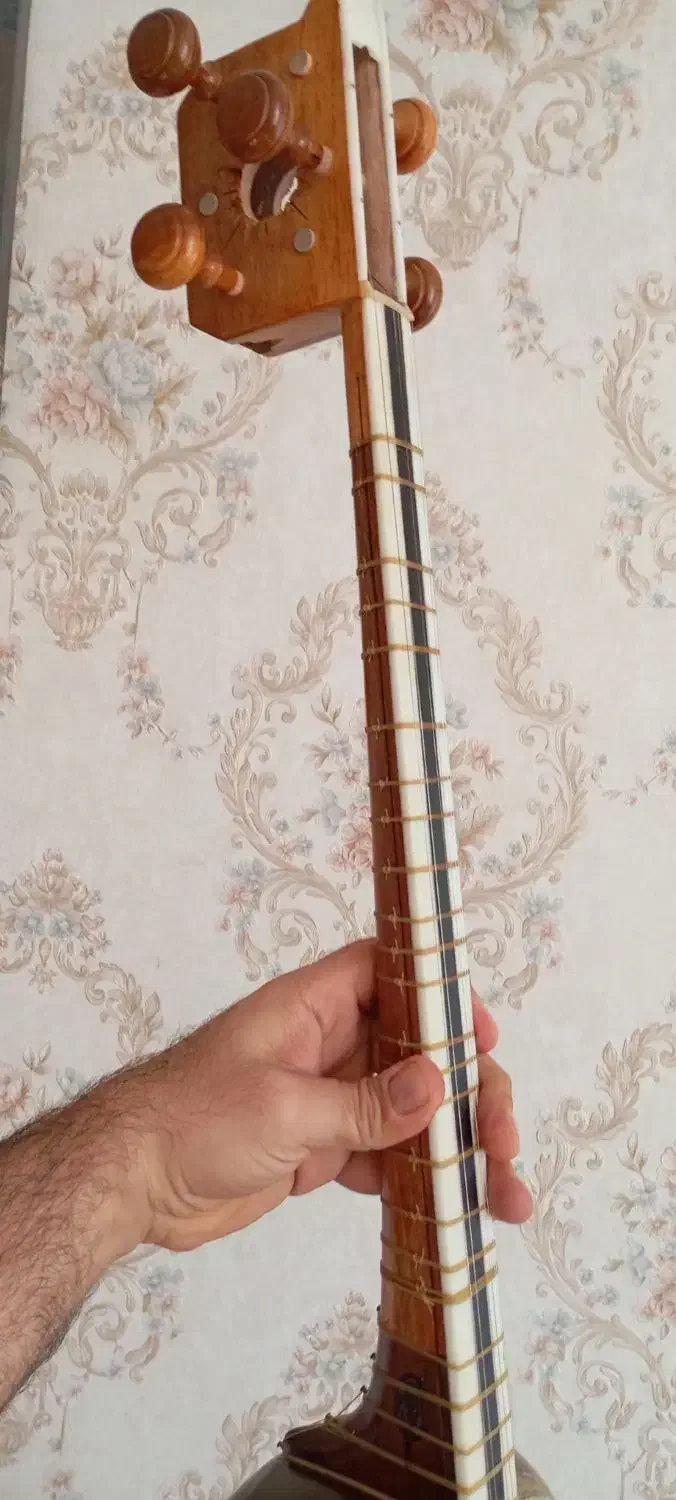 تار|سازهای سنتی|دورود, |دیوار