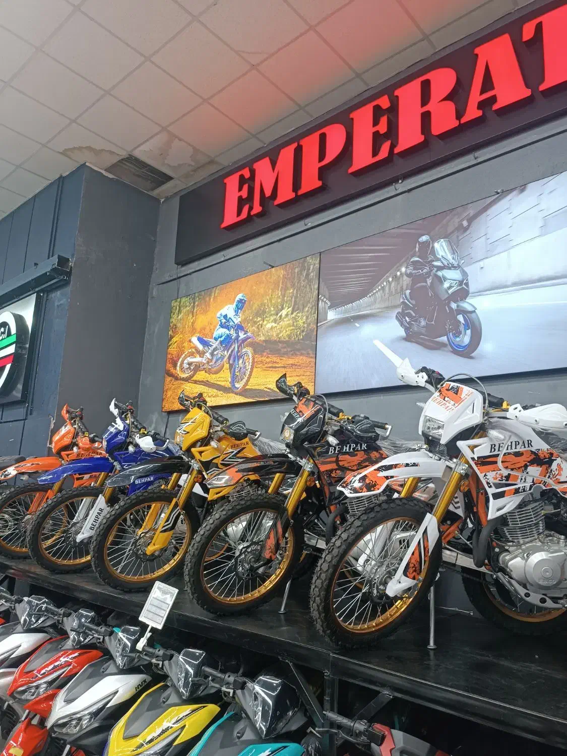 تریل ۲۵۰ سی‌ سی (۲۴ ماهه)|موتورسیکلت|تهران, بهار|دیوار