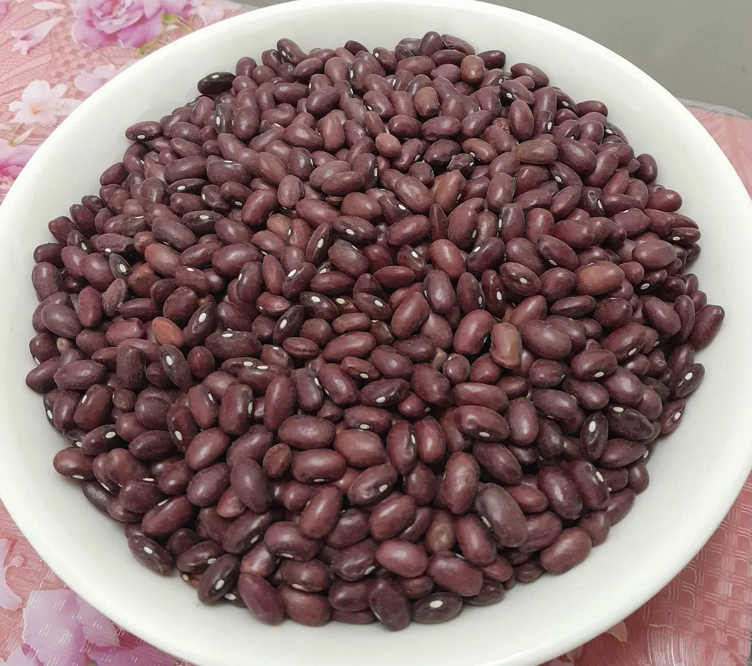 لوبیا قرمز|خوردنی و آشامیدنی|تهران, دیلمان|دیوار