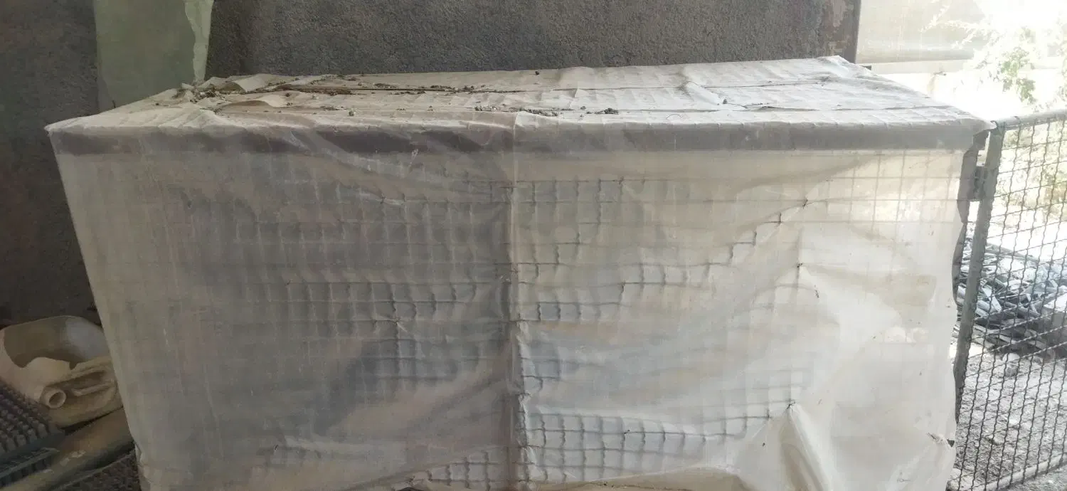 قفس|پرنده|پاکدشت, پاکدشت (مامازند)|دیوار