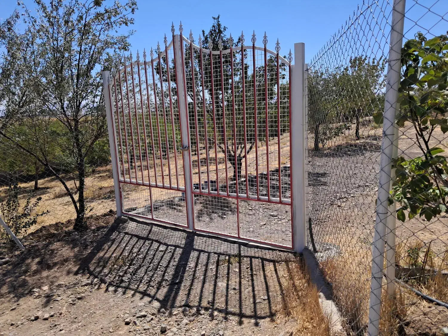 باغ ۱۵۰۰ متری ، باغشهر غزال سهرین،  امکانات کامل|فروش خانه و ویلا|قره پشتلو, |دیوار