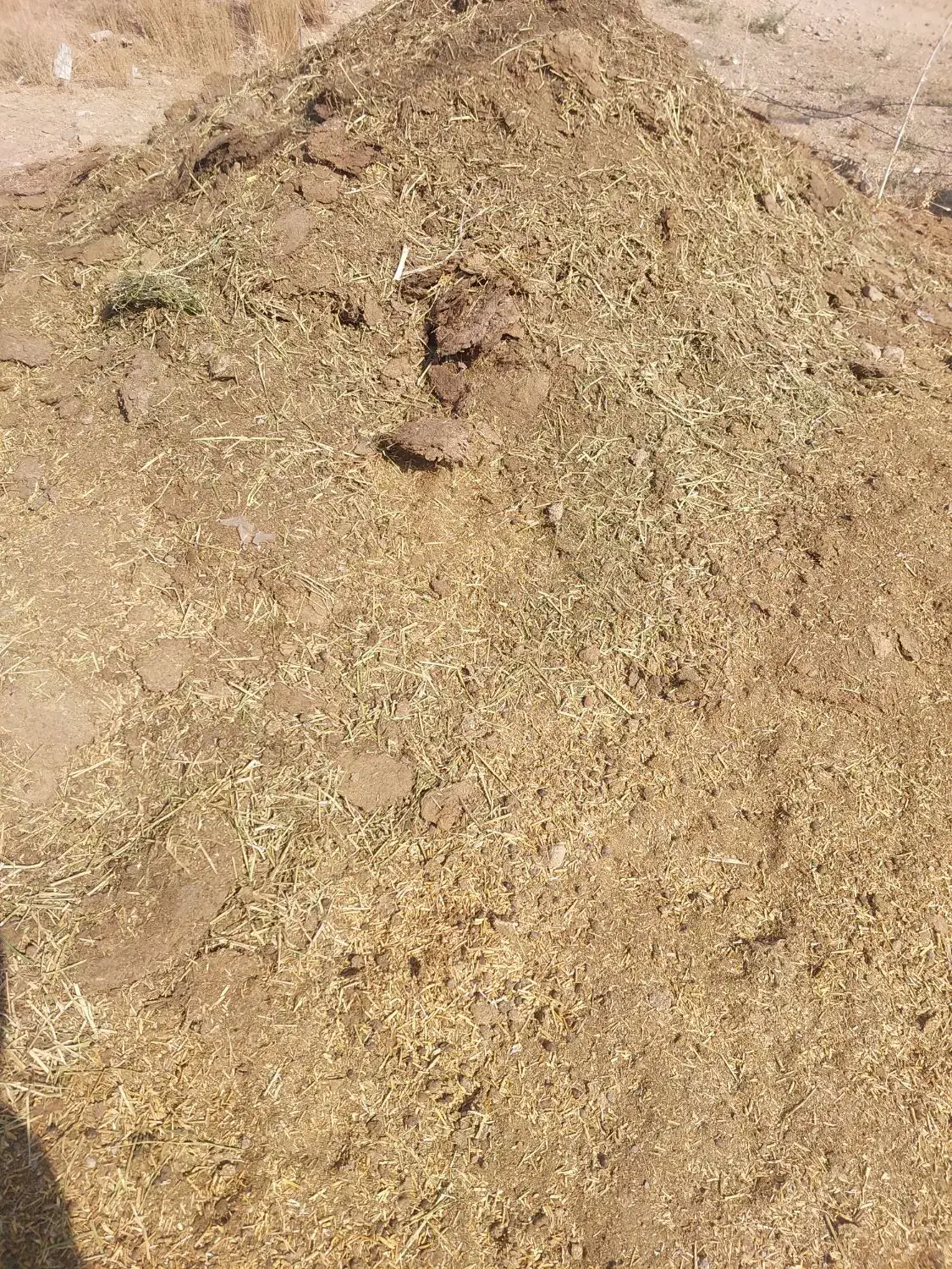 کود گوسفندی|گل و گیاه طبیعی|جیرفت, |دیوار