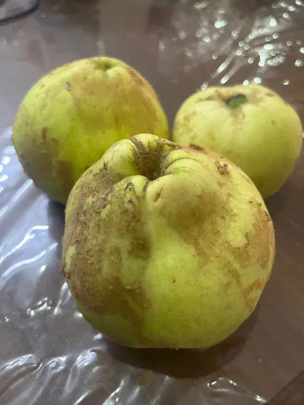 به درجه یک|خوردنی و آشامیدنی|اصفهان, جلفا|دیوار