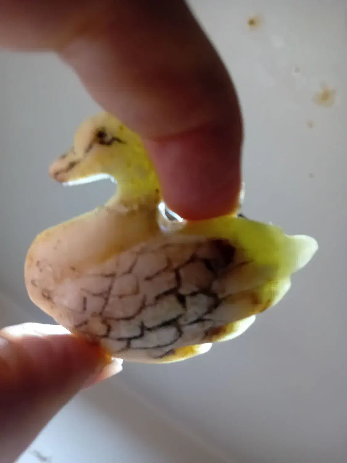 یاقوت راف یشم دستبند گردنبند . سنگ آسیاب|کلکسیون اشیاء عتیقه|تهران, مجیدیه|دیوار