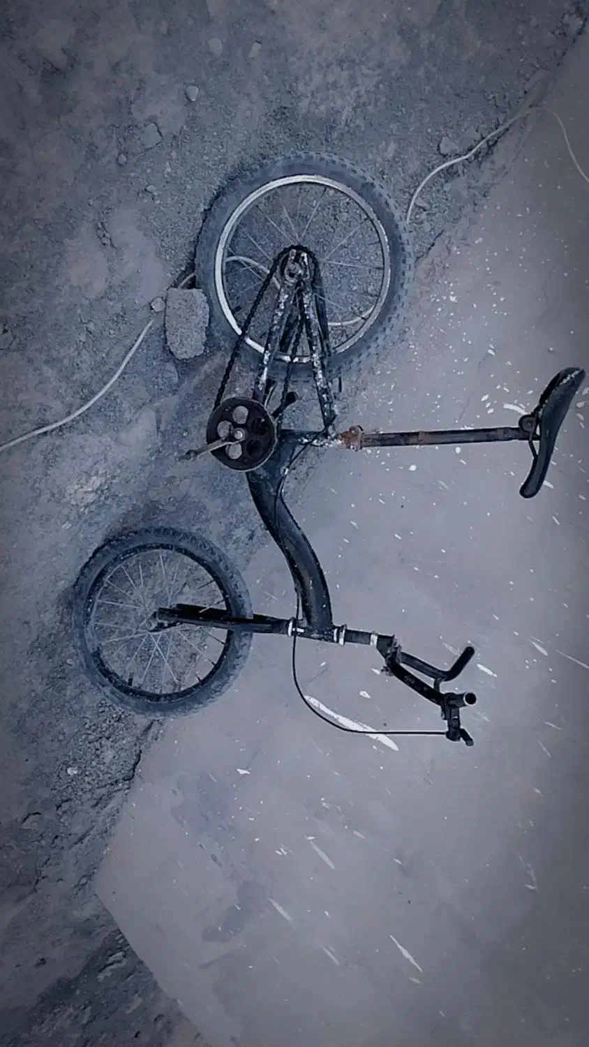 دوچرخه|دوچرخه، اسکیت، اسکوتر|پاپی, |دیوار