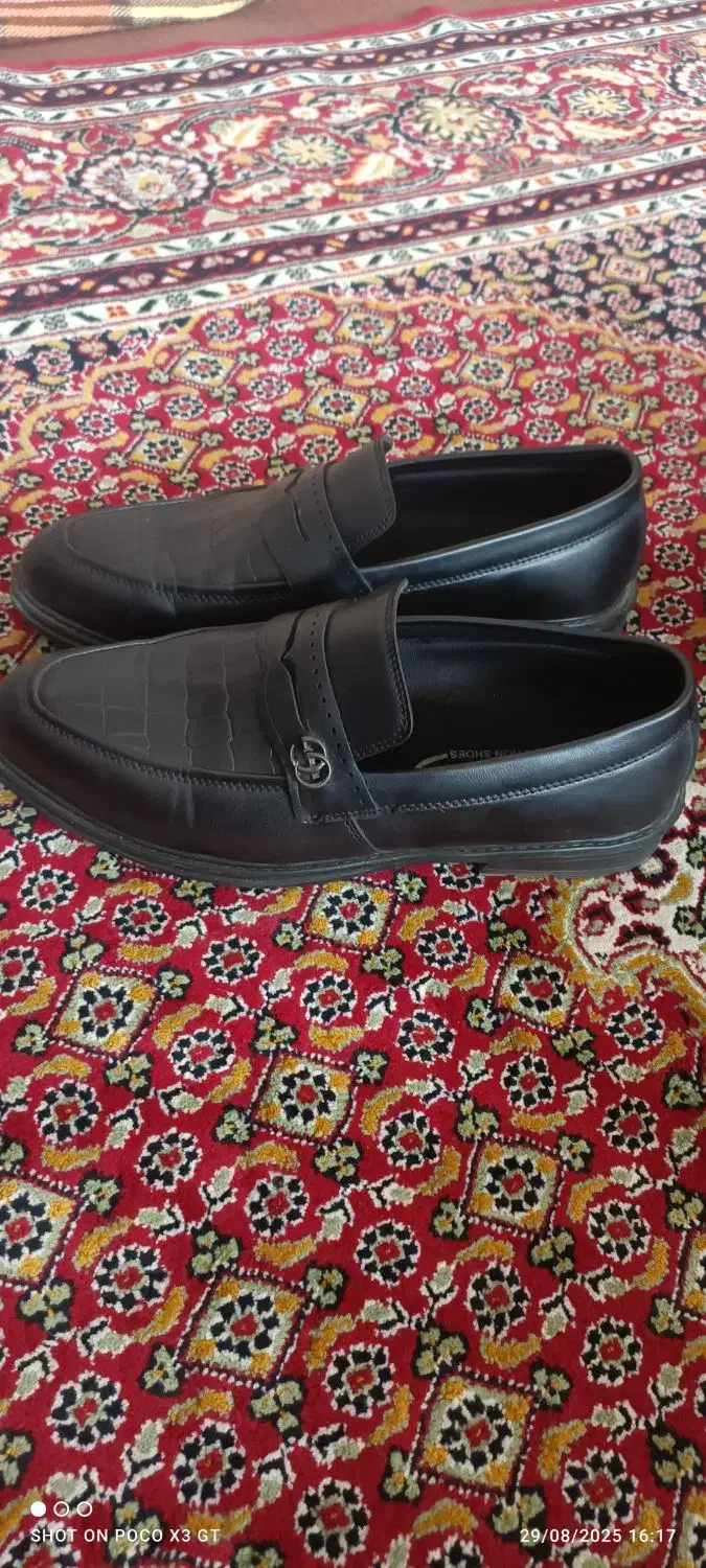 کفش تمام چرم نو|کیف، کفش، کمربند|نقده, |دیوار