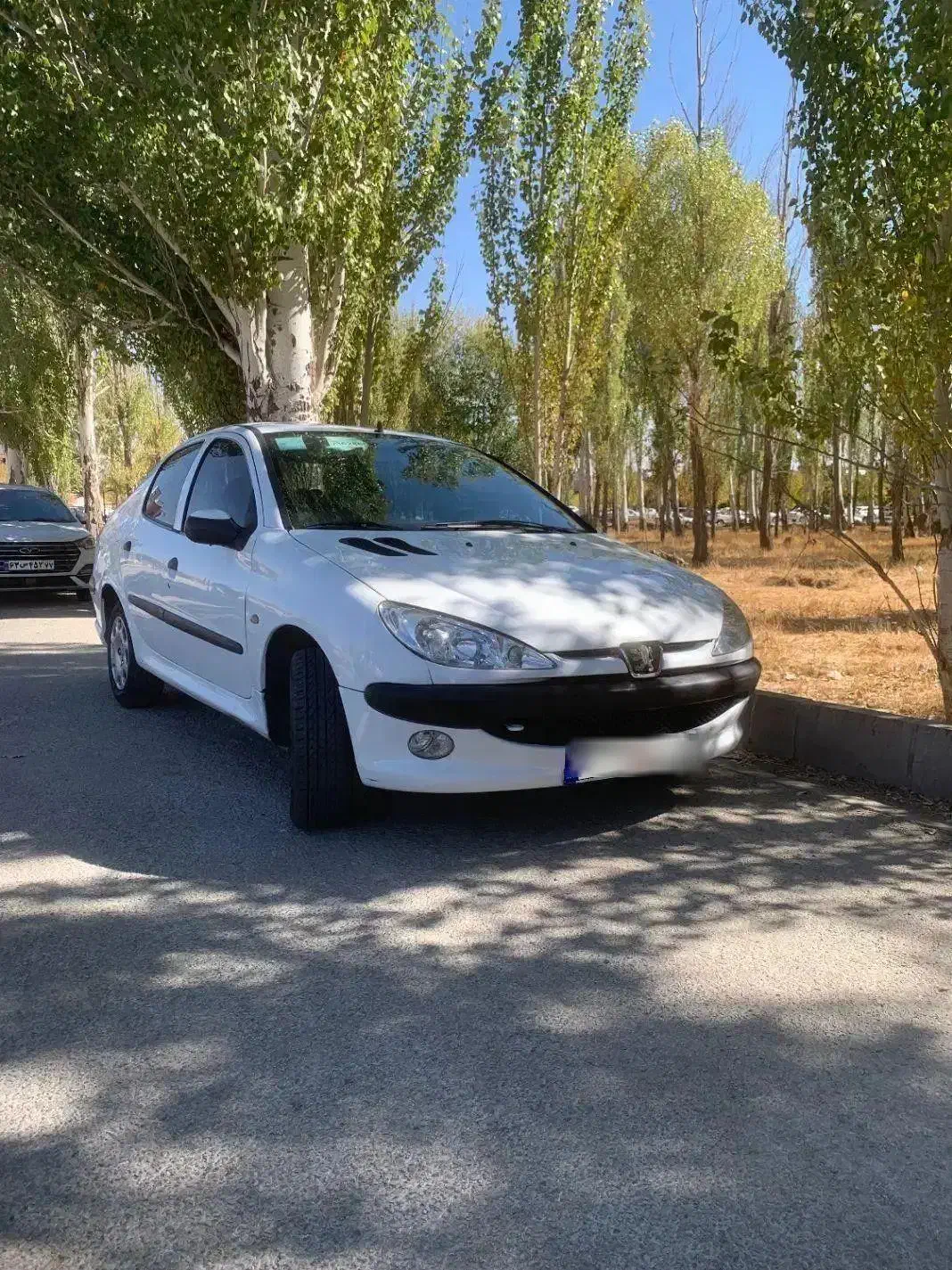 206 sd درحد کم کار مدل 98|خودرو سواری و وانت|همدان, |دیوار