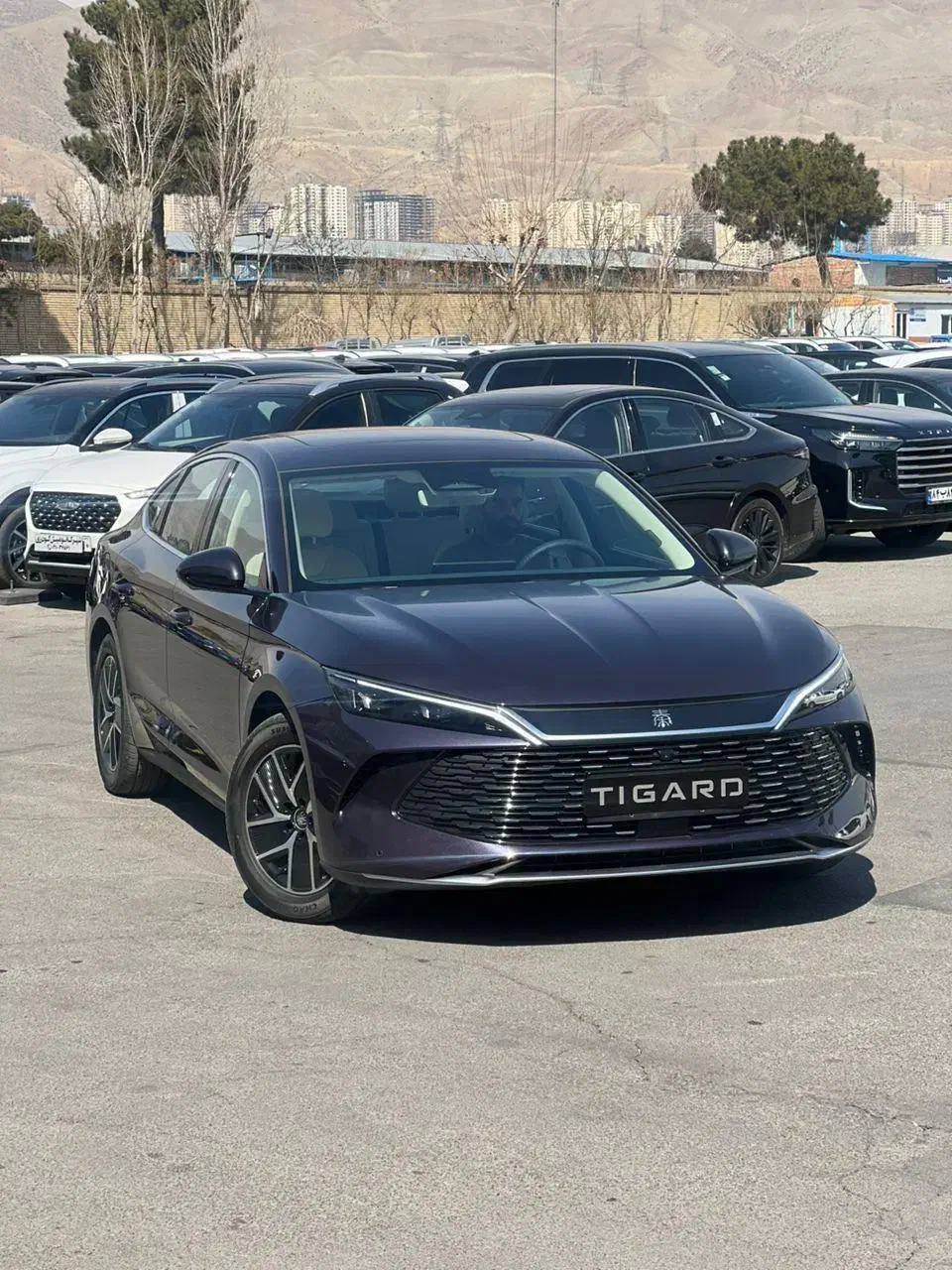 Qin L 2025|خودرو سواری و وانت|تهران, شهران شمالی|دیوار