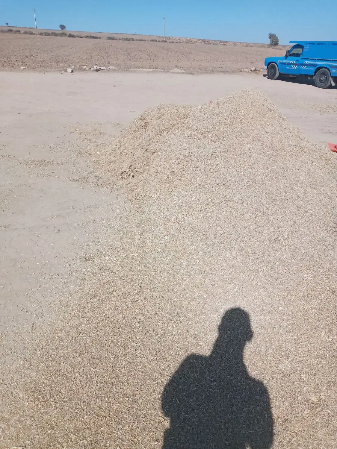 کاه لوبیاچیتی و سفیدفروشی|لوازم جانبی حیوانات|کلاله, |دیوار