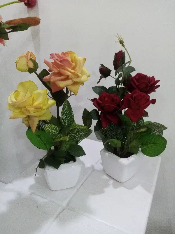 گل مصنوعی|گل مصنوعی|اهواز, شریعتی جنوبی|دیوار