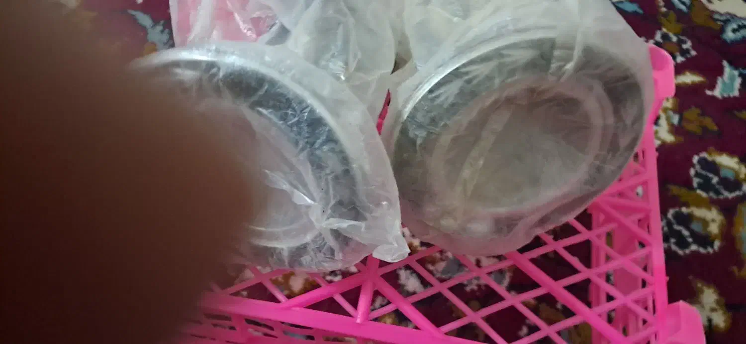 هلدر|لوستر و چراغ آویز|اهواز, گلدشت|دیوار