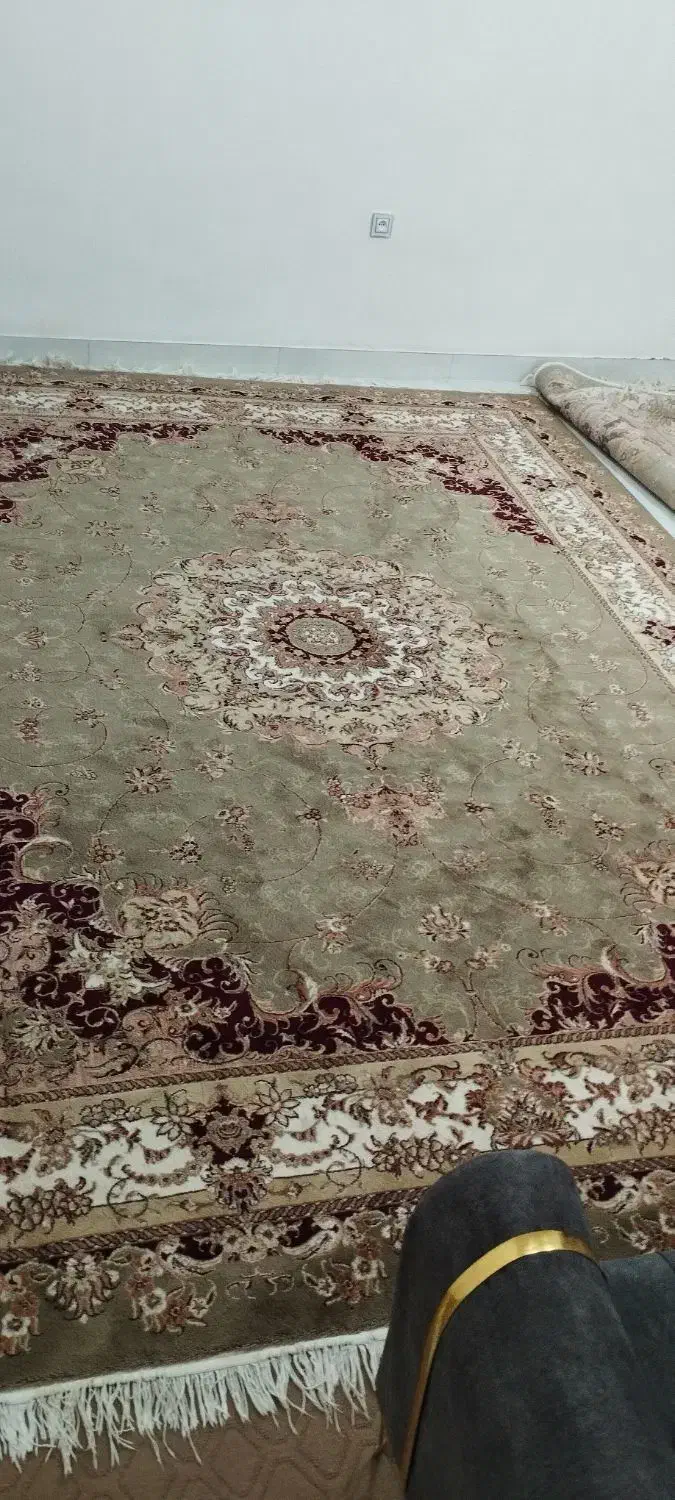 قالی 12متری|فرش|تربت جام, اسماعیل آباد|دیوار