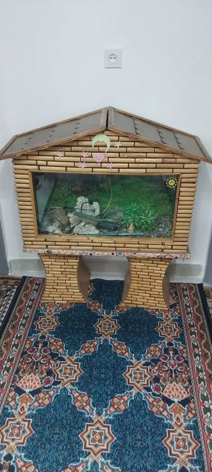 آکواریوم|ماهی|آبیک, |دیوار