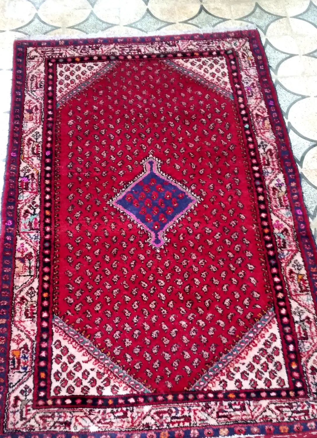 قالی 3 متری دستباف|فرش|دورود, |دیوار