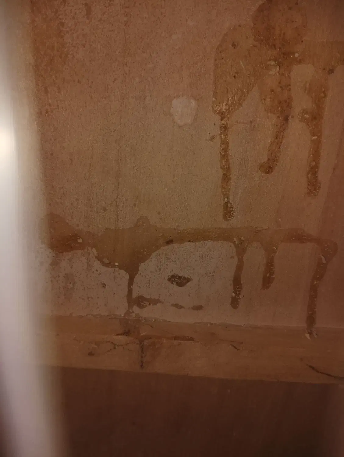 گیتار بفرس میرسد|گیتار، بیس، امپلیفایر|بم, |دیوار