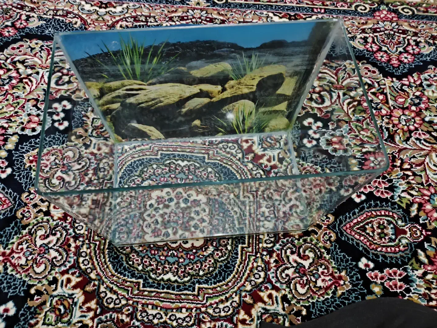 آکواریوم شیشه خم معاوضه با مرغ عشق|ماهی|جوانرود, |دیوار