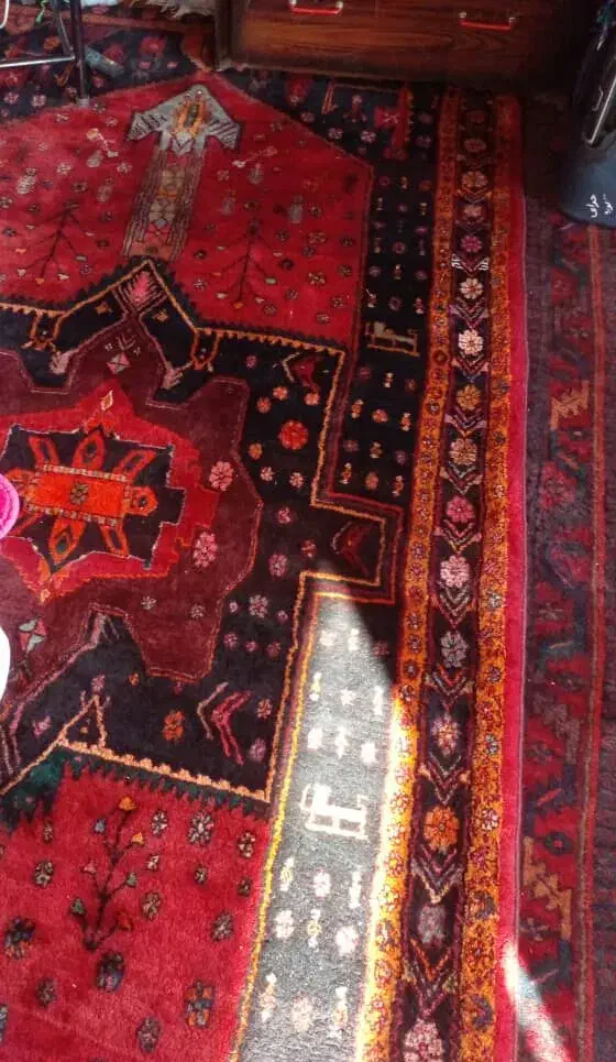 فرش قدیمی|فرش|بوکان, |دیوار