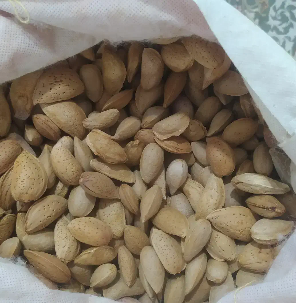 بادام درختی تازه|عمده‌فروشی|اهواز, کمپلو شمالی|دیوار