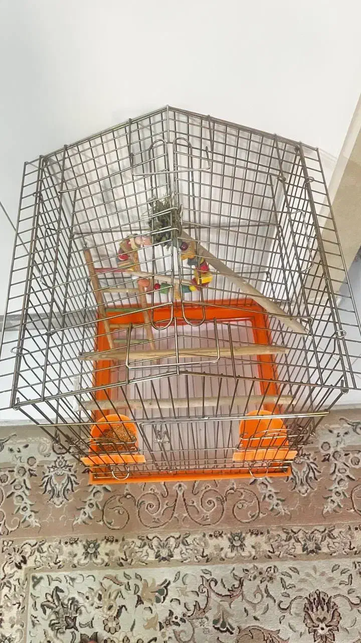 قفس پرنده|لوازم جانبی حیوانات|تهران, فردوس|دیوار