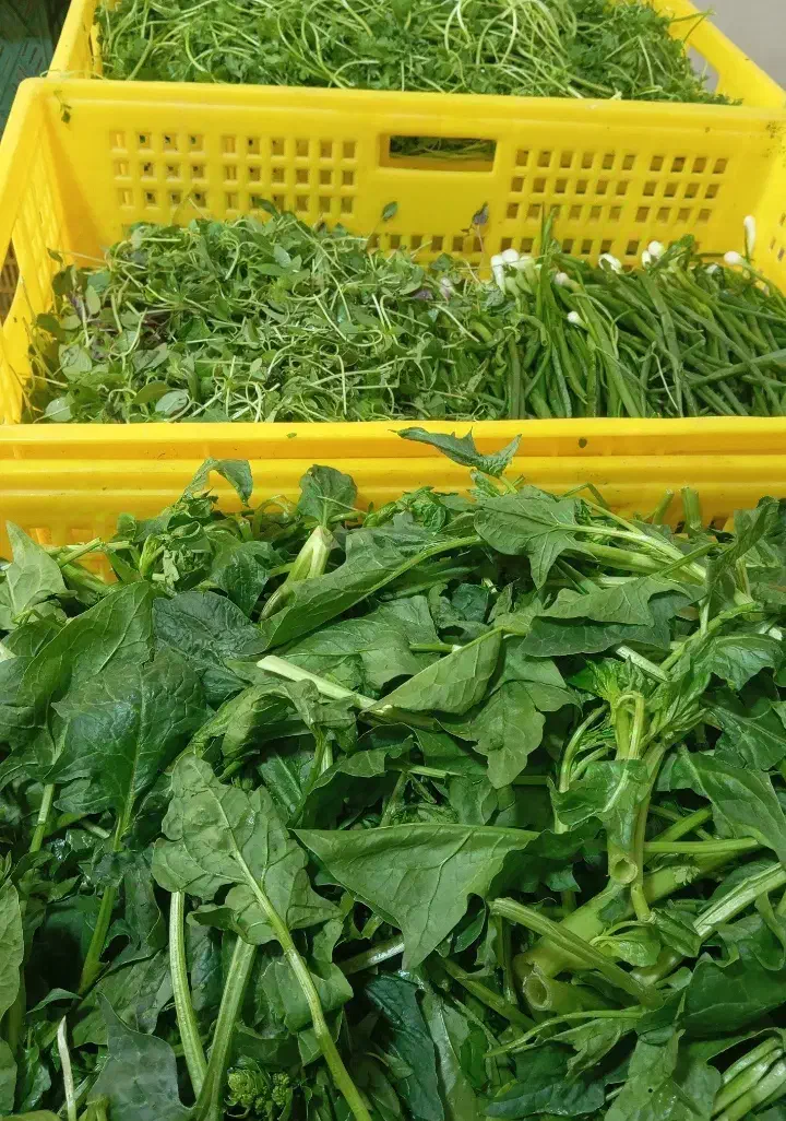 سبزی پاک شده شسته شده|خوردنی و آشامیدنی|کرج, شهرک سهرابیه|دیوار