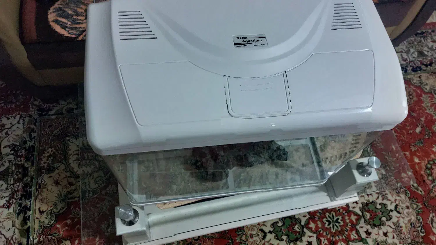 اکواریم|ماهی|ارومیه, |دیوار