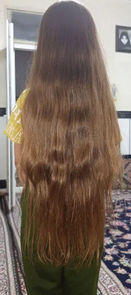 موی طبیعی موی سر طلایی بورطلایی|آرایشی، بهداشتی، درمانی|نظرآباد, نظرآباد|دیوار