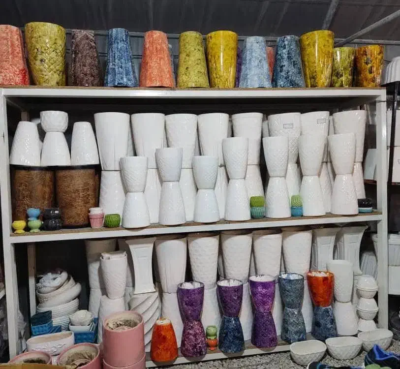 گل،گلدان،حراج|گل و گیاه طبیعی|مرودشت, فاز دوم شهرک فرهنگیان|دیوار