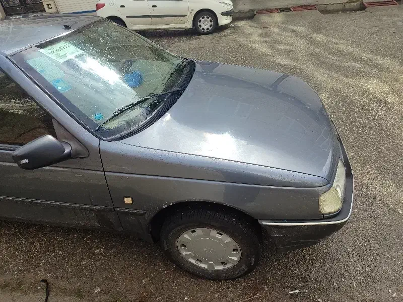 پژو 405 دوگانه|خودرو سواری و وانت|صحنه, |دیوار