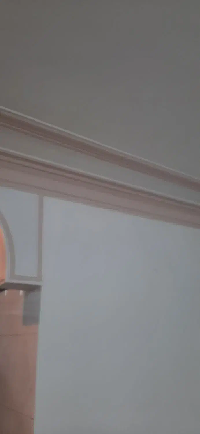 نقاشی و رنگ آمیزی ساختمان و طرح کاغذ دیواری|خدمات پیشه و مهارت|نرماشیر, |دیوار