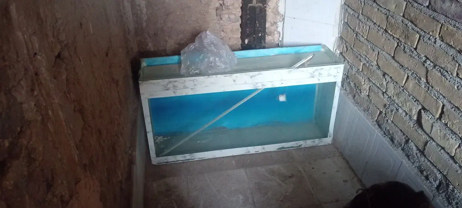 اکواریوم|ماهی|سبزوار, هفت تیر|دیوار