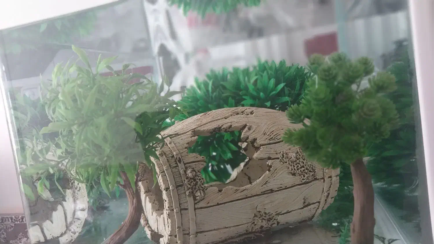 فروش آکواریوم|ماهی|شیراز, ریاستی|دیوار