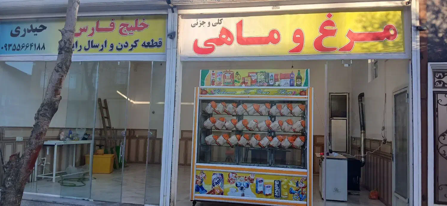 پاکترین مرغ ماهی فروشی شهر|ماهی|نورآباد, |دیوار