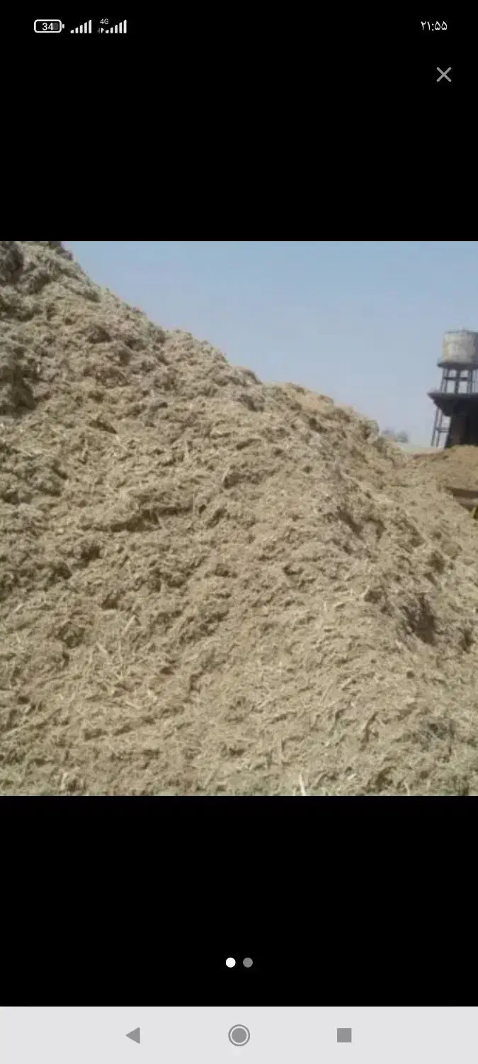 کاه نیشکر|حیوانات مزرعه|ملایر, |دیوار