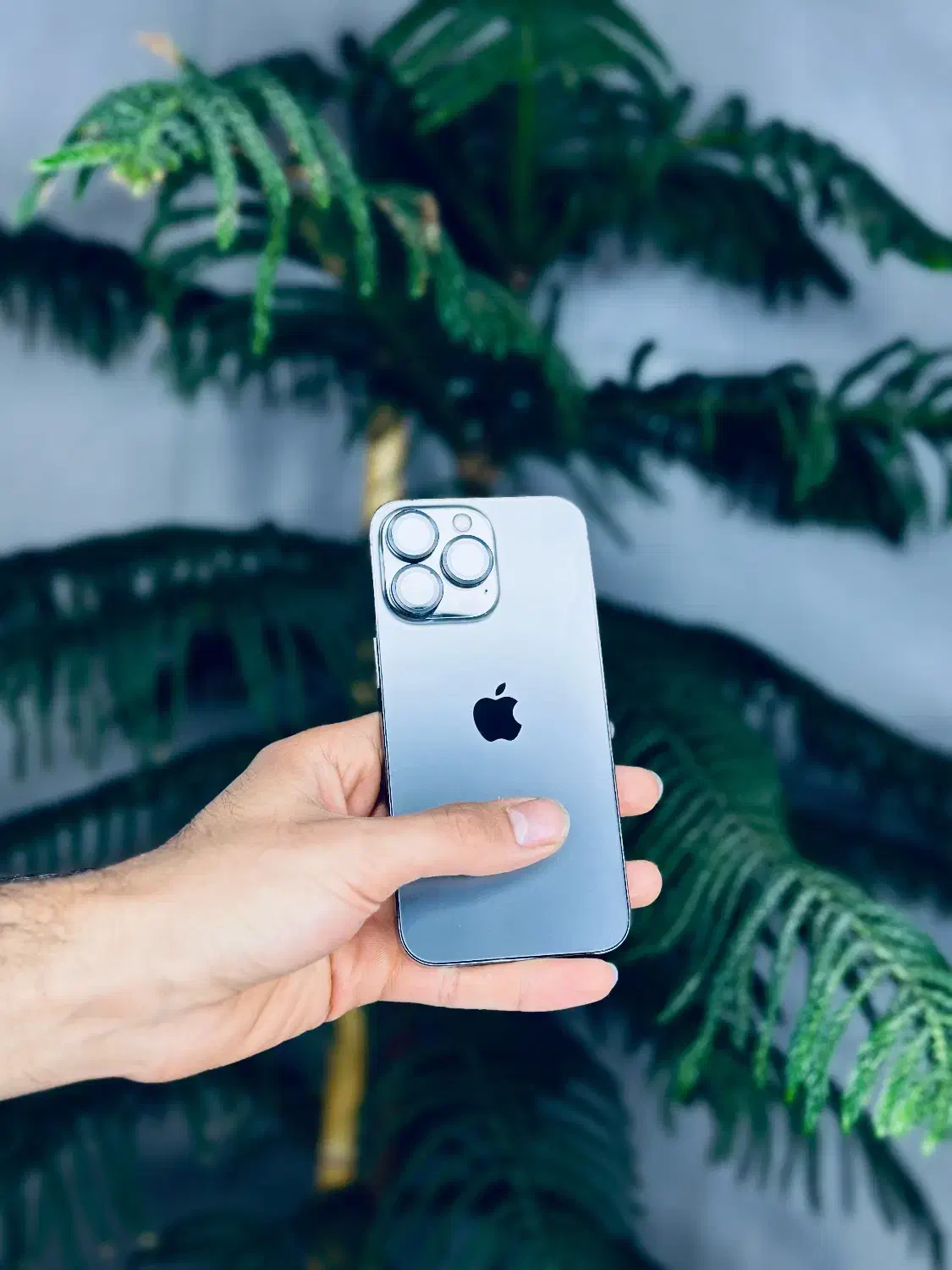 iphone 13pro 256|موبایل|شیراز, دشت چنار|دیوار