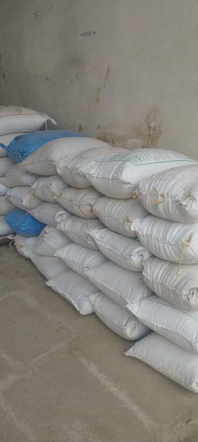 فروش جو یونجه چاپر سبوس و...|لوازم جانبی حیوانات|لردگان, |دیوار