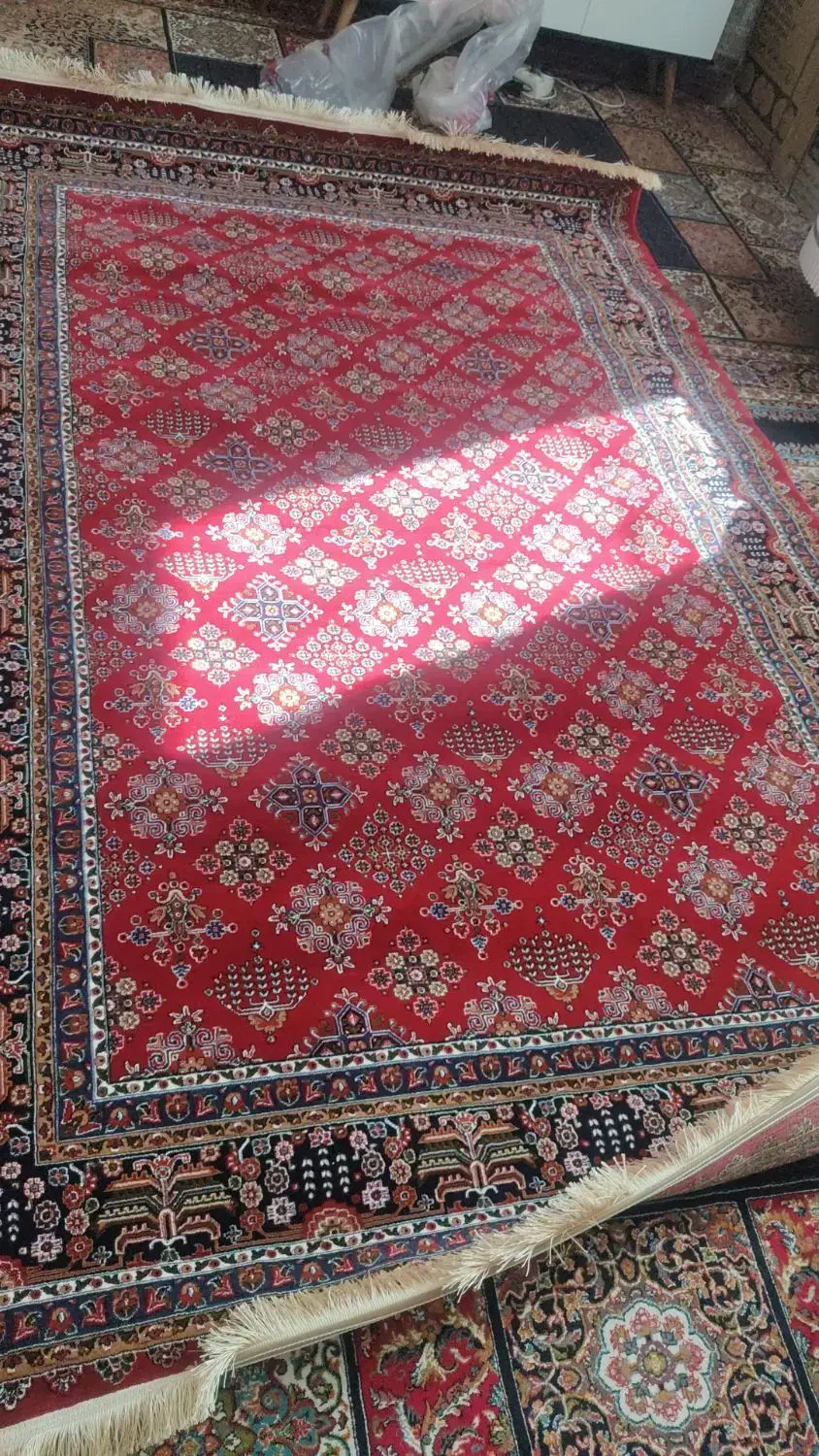 فرش پلمپ طرح جدید گلی قرمز ۳۵۰۰|فرش|صدرا-فارس, فاز ۱|دیوار