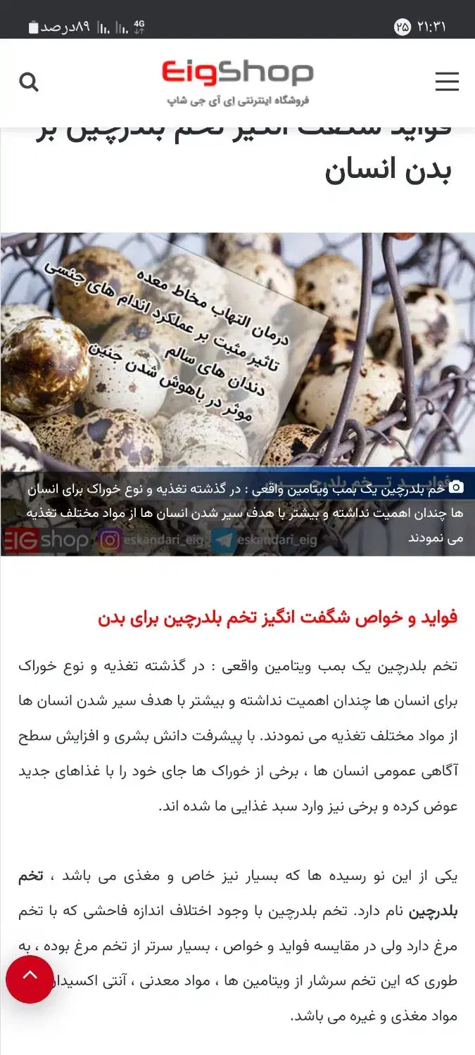 تخم بلدرچین   وایت  سنگین وزن نطفه دار  و خوراکی|خوردنی و آشامیدنی|قم, شهرک امام حسین|دیوار