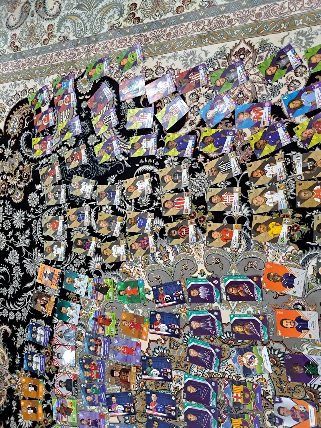 کیمدی 2026|اسباببازی|نیشابور, عدالت|دیوار