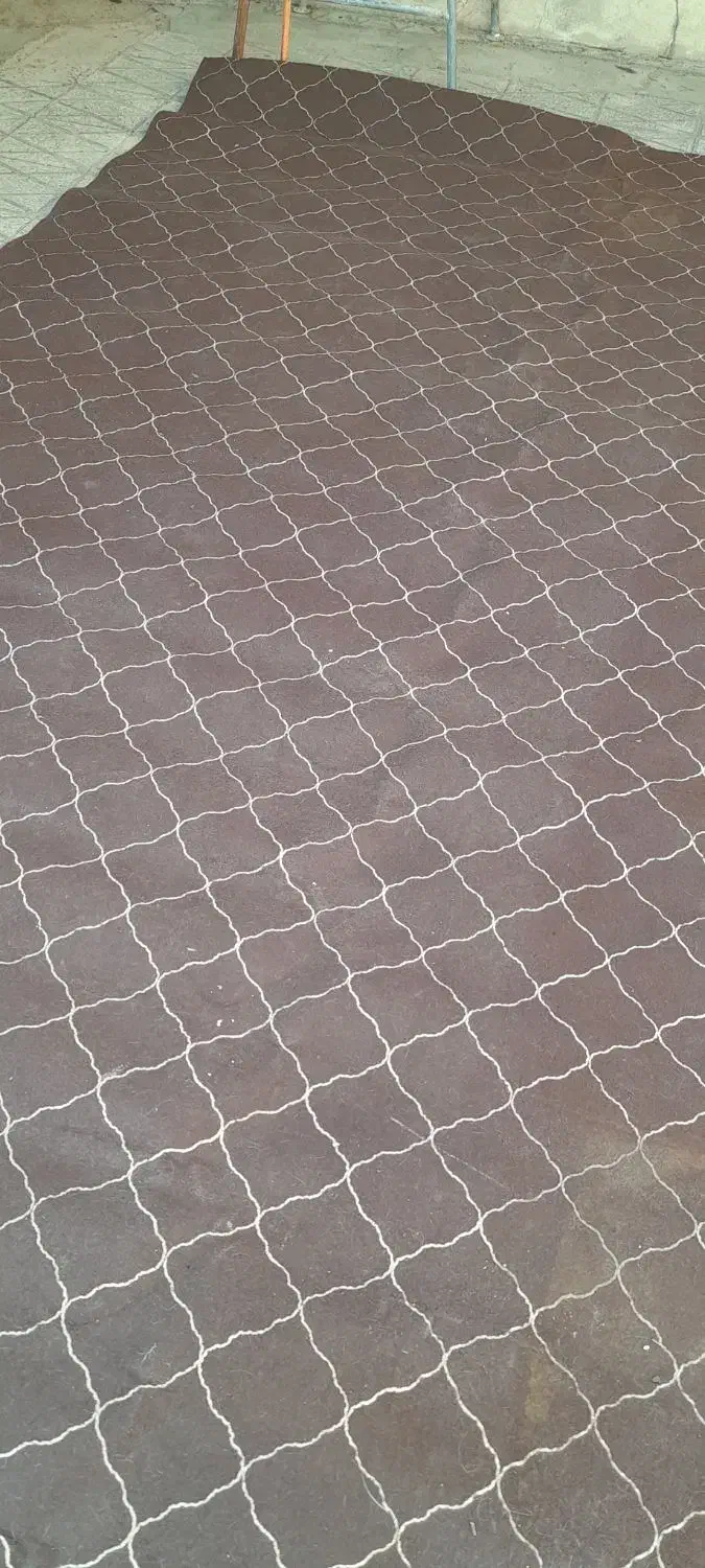 دو عدد موکت 12متری|موکت|بروجرد, |دیوار