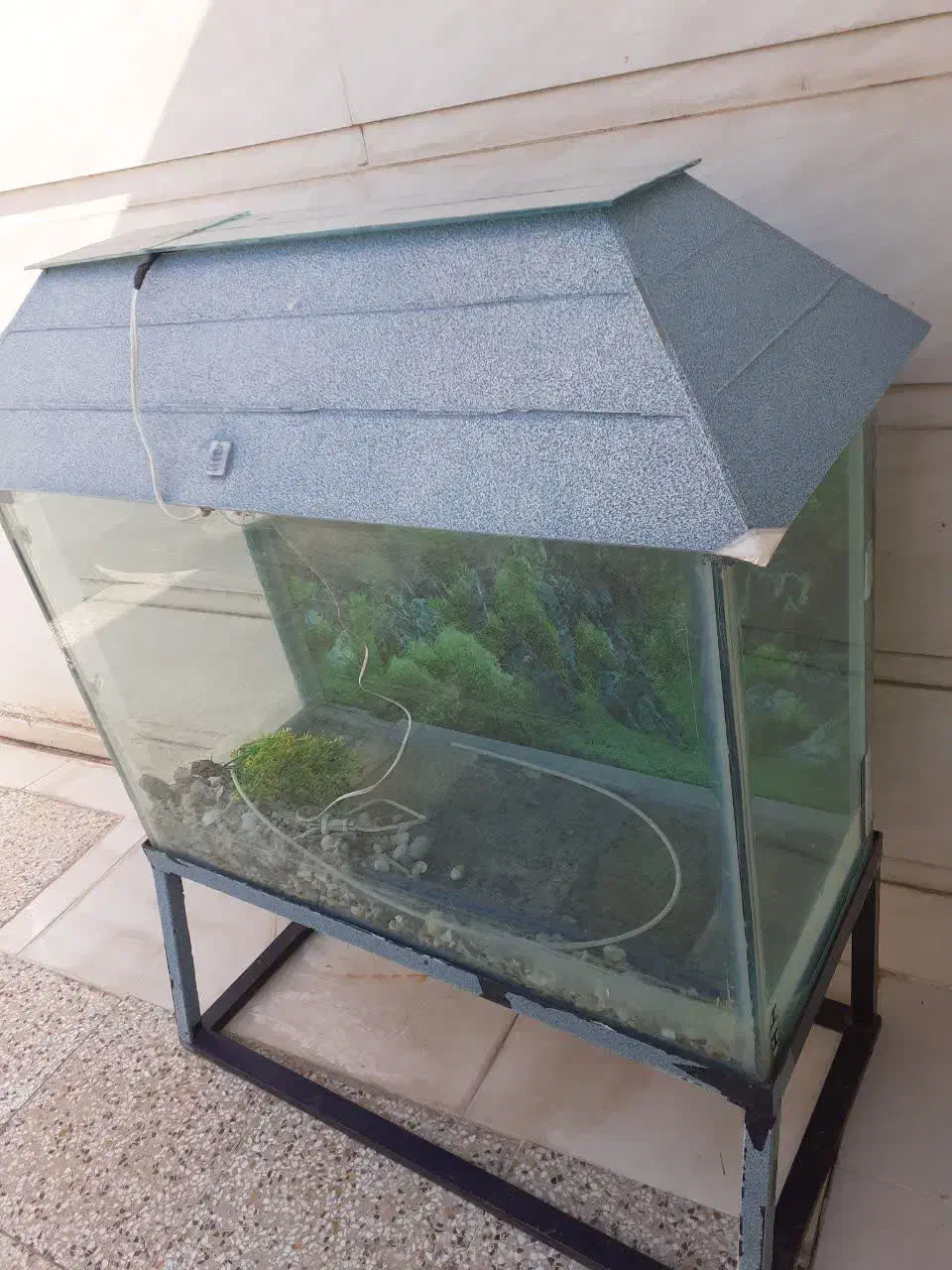 آکواریوم بزرگ به همراه چارپایه آهنی|ماهی|خرمآباد, |دیوار