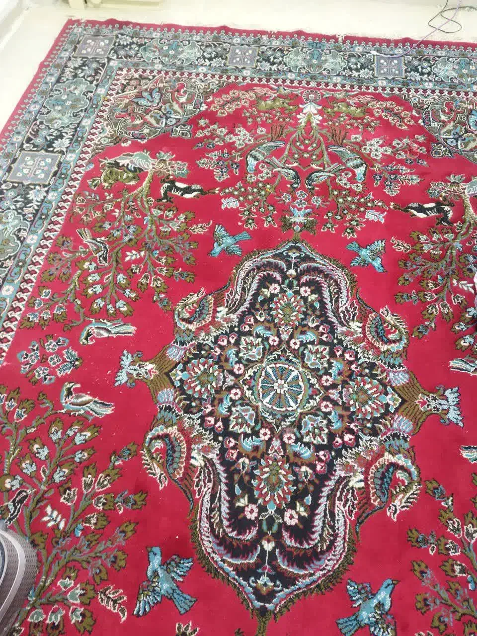 فرش ماشینی|فرش|سمنان, |دیوار