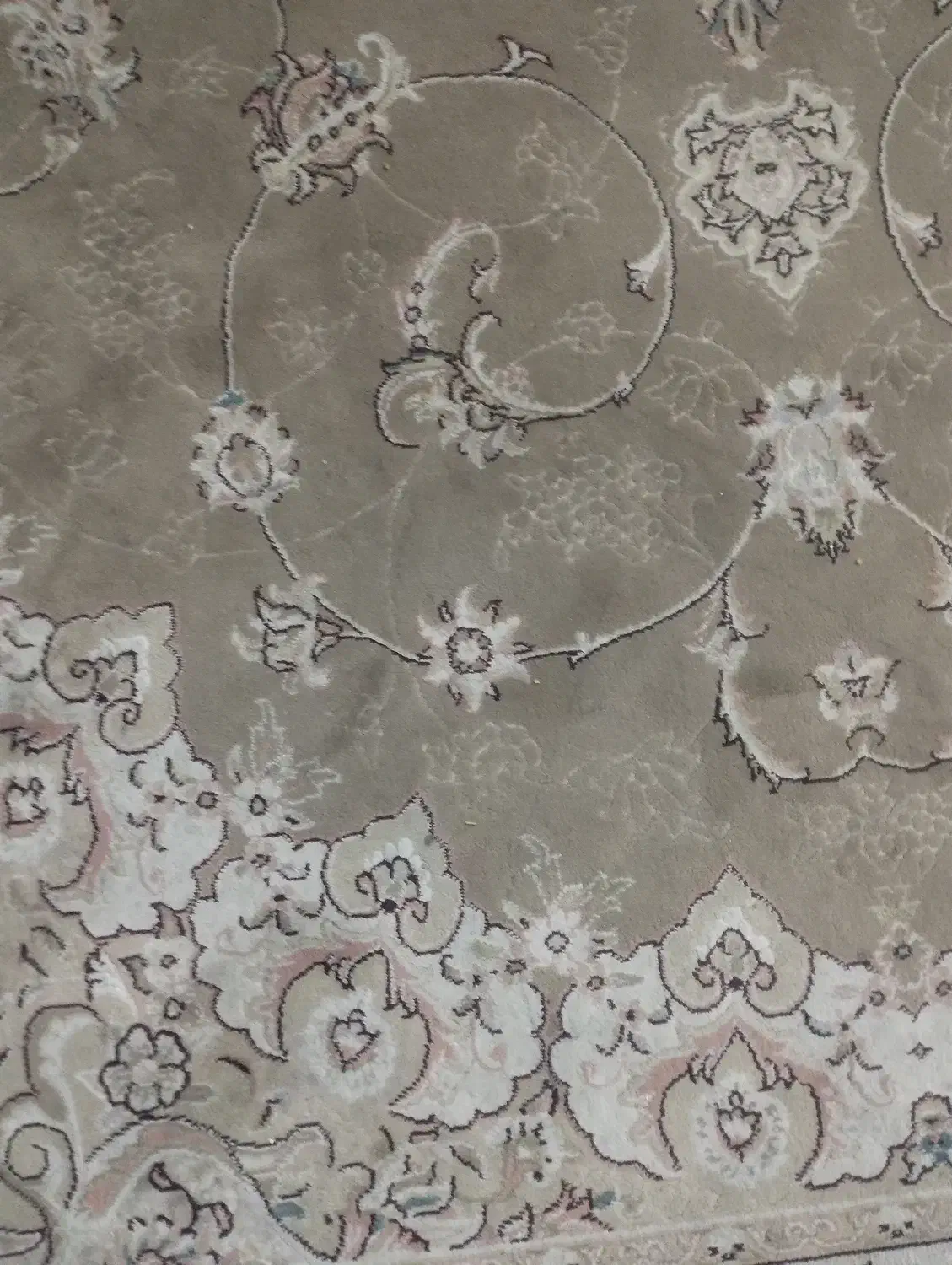 فرش، کار کزده|فرش|گرمسار, |دیوار