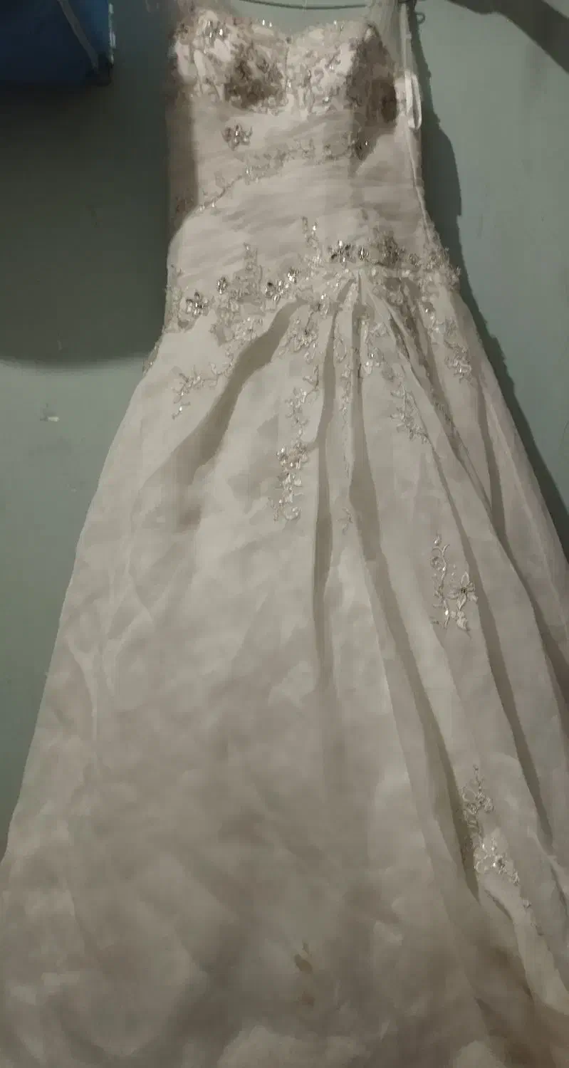 لباس مجلسی درملاثانی|لباس|باوی, |دیوار