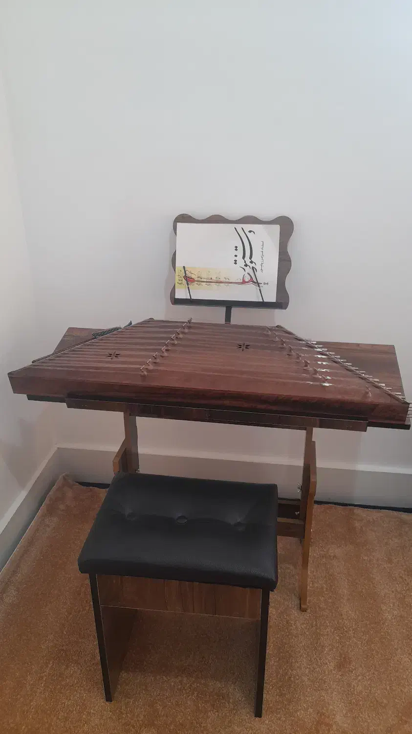 سنتور تایید شده مخصوص مناطق جنوب|سازهای سنتی|آبپخش, |دیوار