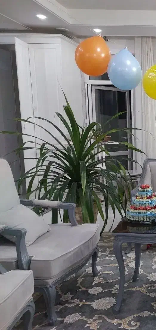 گل پاندانوس بزرگ|گل و گیاه طبیعی|نیشابور, شهرک اندیشه|دیوار